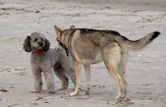 DSC_1902 Hallo, wer bist Du denn?