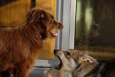 DSC_2362 Los, komm her!