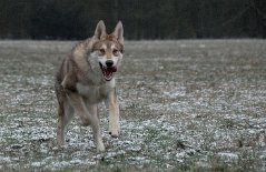 DSC_7435 gute Laune