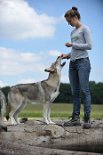 DSC_8452 Shaya bekommt ein Leckerlie
