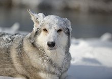 DSC_3543 ...