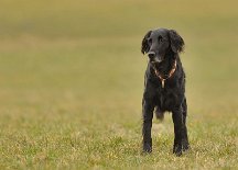 DSC_4160 Lucy