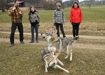 DSC_0969 Hundekino ;) .