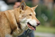 DSC_5322 Uncas