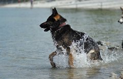DSC_5504 Wo isses?