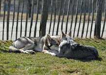 DSC_6110 ein 