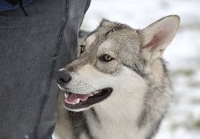 DSC_7398 Dante