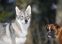 DSC_8059 Yari und rechts im Bild Oli (gibt dem Ganzen die richtige Würze ;))