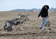 DSC_9659 Da gibt Nisha auch Gas!