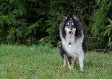 DSC_6399 Dusty