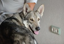 DSC_0161 Cheveyo Una Neshoba