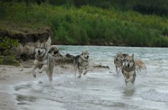 DSC_0894 andere Richtung!