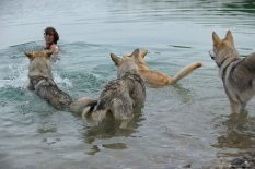DSC_2158 Anke, das Frauchen von Boston und Enisha, stürzt sich in die Fluten, was die Hunde ziemlich aufregend finden :)!