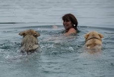 DSC_2163 Enya und Boston schwimmen Anke hinterher