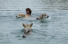 DSC_2167 Yasha kommt auch angeschwommen