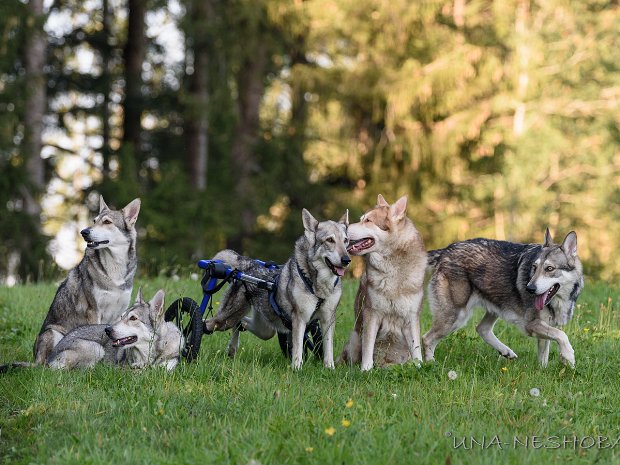 15-09-2020 Besuch von Anak und Dodge (Teil 3)