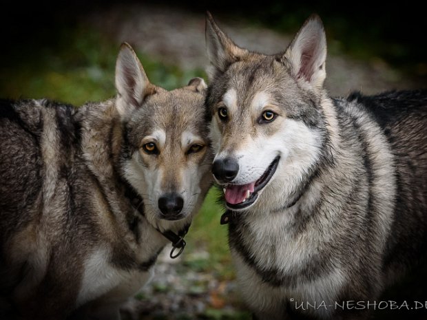 26-09-2020 Besuch von Enya's Sohn Yuma (Teil 1)