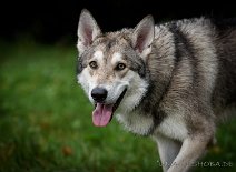 DSC_0203 Yuma