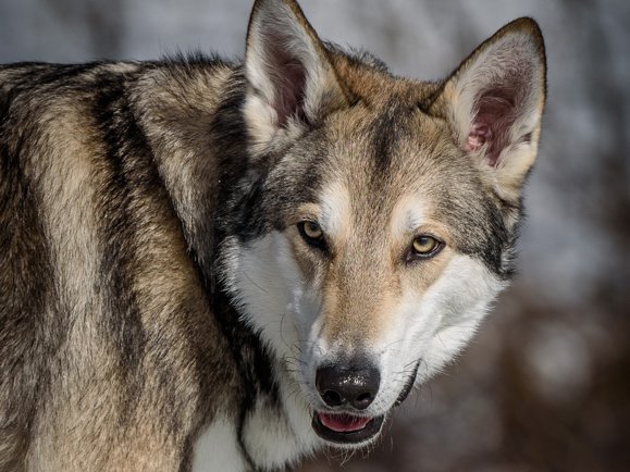 20.03.2021 Besuch von Yuma