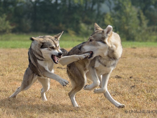 Treffen mit Freunden