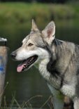 DSC_3076 Tunka
