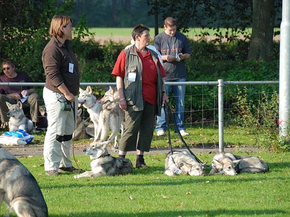23-09-2007 SWH-Tag 2007 vom AVLS in Utrecht