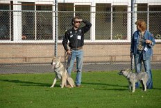 DSC_7032 Jos wartet mit seinem Rüden Ingo auf seinen Einsatz.