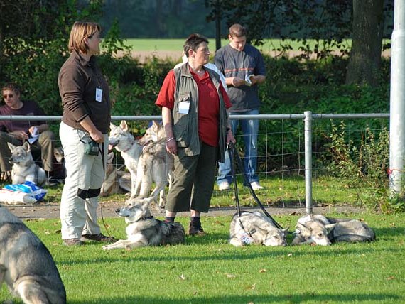 23-09-2007 SWH-Tag 2007 vom AVLS in Utrecht Am 23. September 2007 fand der erste SWH-Tag des holländischen Vereines AVLS in Utrecht statt. Die 83 gemeldeten SWHs...