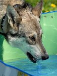 DSC_3066 Lecker Wasser...
