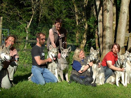 10-05-2008 Welpentreffen vom A-Wurf in der Kolliger Mühle (Teil 5)