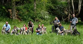 DSC_4348 Von links nach rechts: Johan mit Shala, Marianne mit Tunka, ich mit Nisha und Timish, Martina mit Anni, Alex mit Aiko, Christiane mit Luna, Grit mit Asgard,...