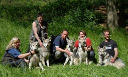 DSC_4415 ....es einfach mit Besitzern gemacht *LOL*! Von links nach rechts: Grit mit Asgard, Martina mit Anni, Christian mit Tara, ich mit Timish und Alex mit Aiko.