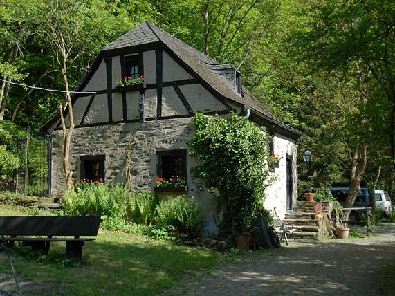 12-05-2008 Welpentreffen vom A-Wurf in der Kolliger Mühle (Teil 4)