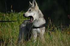 DSC_8207 Derri