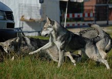 DSC_8234 He, dageblieben Schwesterlein!!