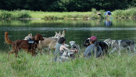 DSC_8853 Martina und Francis im Hundegewusel