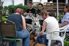 DSC_2331 Cael und Dante