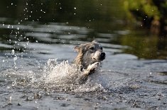 DSC_2429 An der Schwimmtechnik sollte sie noch feilen...*lol*