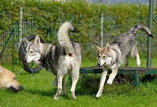 DSC_4426 Yari und Enisha