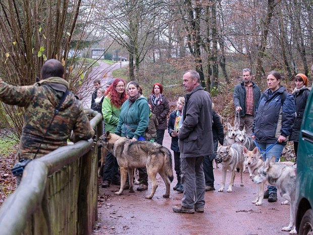 12.12.2015 SWH-Treffen im Wolfspark Merzig Im Dezember 2015 fand ein kleines SWH Treffen im Saarland statt mit einem Besuch im Wolfspark Merzig und einer Wanderung...