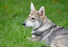 DSC_4674_16_Wochen 16 Wochen alt