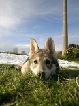 Nisha_liegt3
