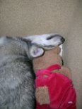 Nisha_zerquetscht_in_der_Box_4.2.04