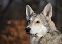 DSC_5446 die Gegend scannen