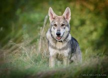 DSC_0745_20_Wochen 5 Monate alt