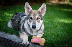 DSC_8499_16_Wochen 4 Monate alt