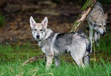 DSC_9026_17_Wochen 4 Monate alt