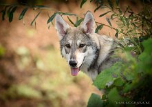 DSC_9697_18_Wochen 4,5 Monate alt