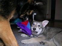 DSCN2734