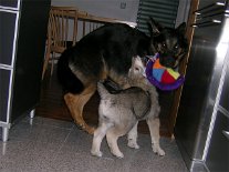DSCN2768 Brich mir nicht den Hals!
